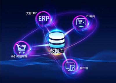 电子商务与互联网数据服务 数字化商业新动力